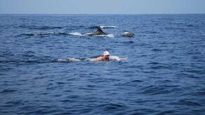 Miguel Arrobas bate recorde entre o Pico e o Faial