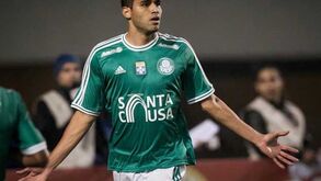 Paulo Nobre: «Kardec morria de medo de voltar ao Benfica»