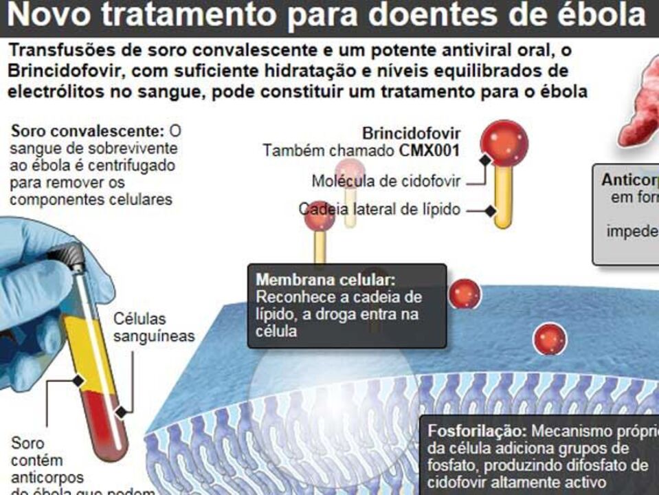 Novo tratamento para doentes de ébola