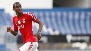 Newton Mota: «Talisca sente-se recompensado no clube»