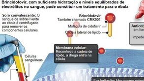 Novo tratamento para doentes de ébola