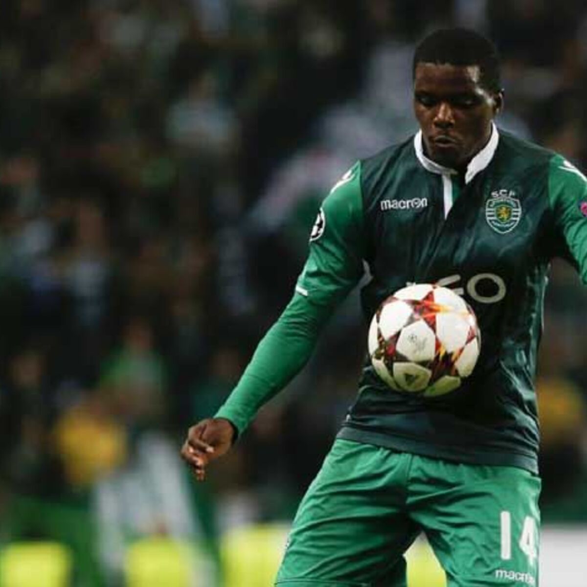 William Carvalho tem uma capacidade tremenda para jogar futebol» - TVI  Notícias