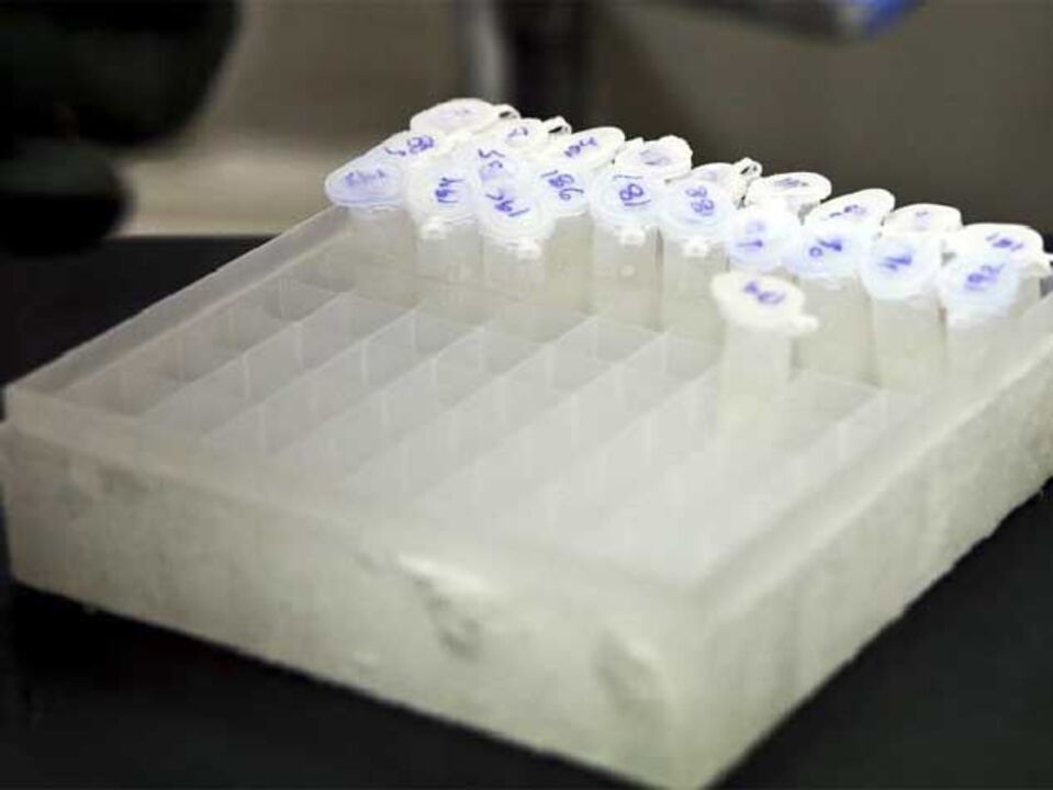 Legionella: um doente em Luanda e outro em Lima