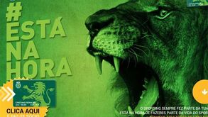 Leões lançam programa 