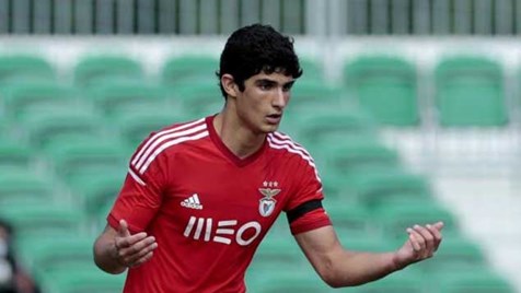 Goncalo Guedes Jesus Transmite Me Confianca Enorme Benfica Jornal Record