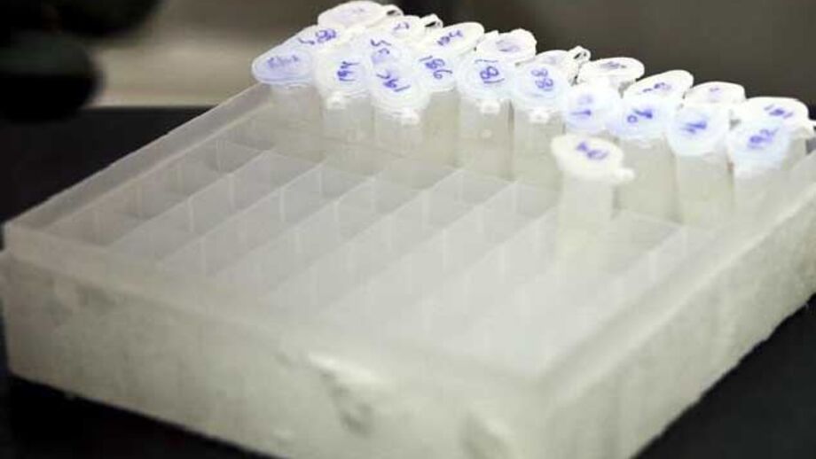 Situação está a ser coordenada com as autoridades de Saúde Pública para a rápida resolução do problema