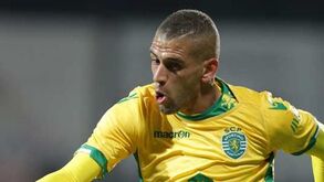 Há vida para além da estrela da companhia