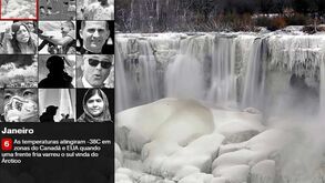 O ano 2014 em revista