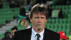 Há quase dois anos sem uma chicotada