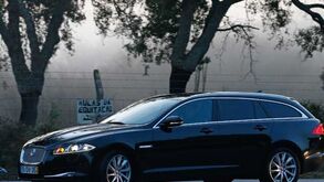 Marco Silva na Academia desde as 8 horas