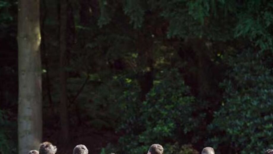 Melhor treino da temporada