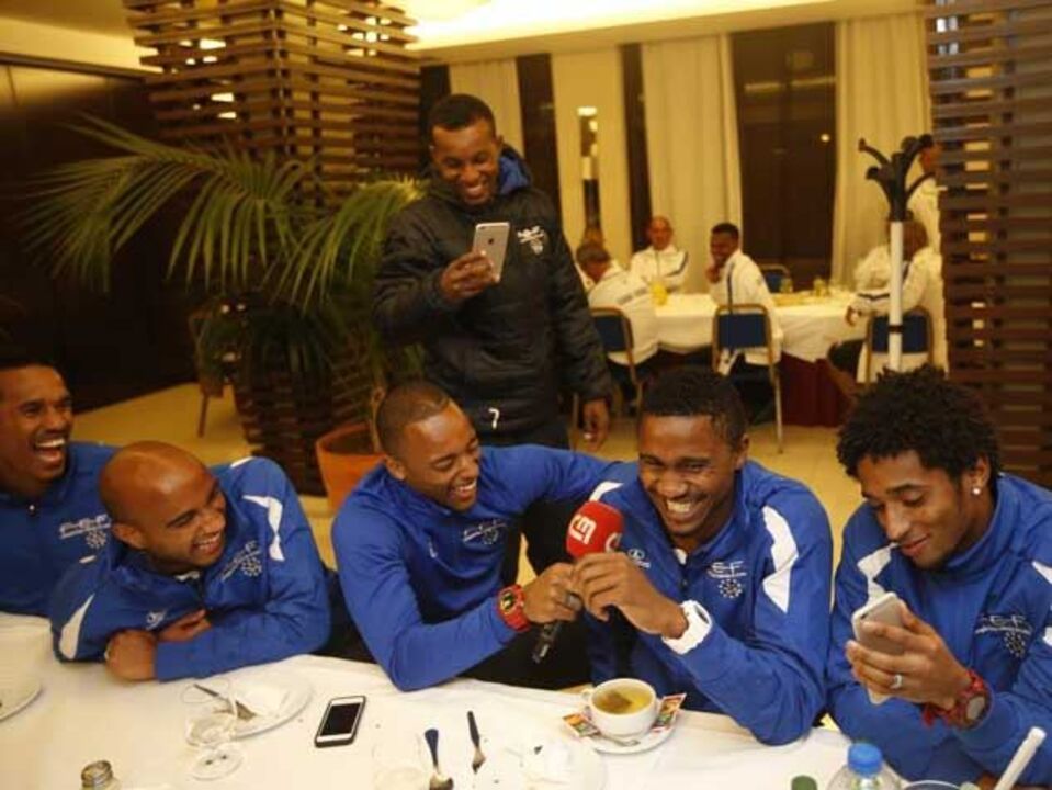 Ao ritmo dos tubarões