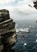 Red Bull Cliff Diving traz novamente adrenalina aos Açores