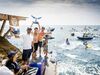 Red Bull Cliff Diving traz novamente adrenalina aos Açores