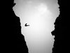 Red Bull Cliff Diving traz novamente adrenalina aos Açores