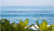 Surfistas homenageiam Ricardo Santos no Havai