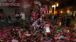 Um ano sem o Pantera Negra