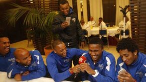 Ao ritmo dos tubarões