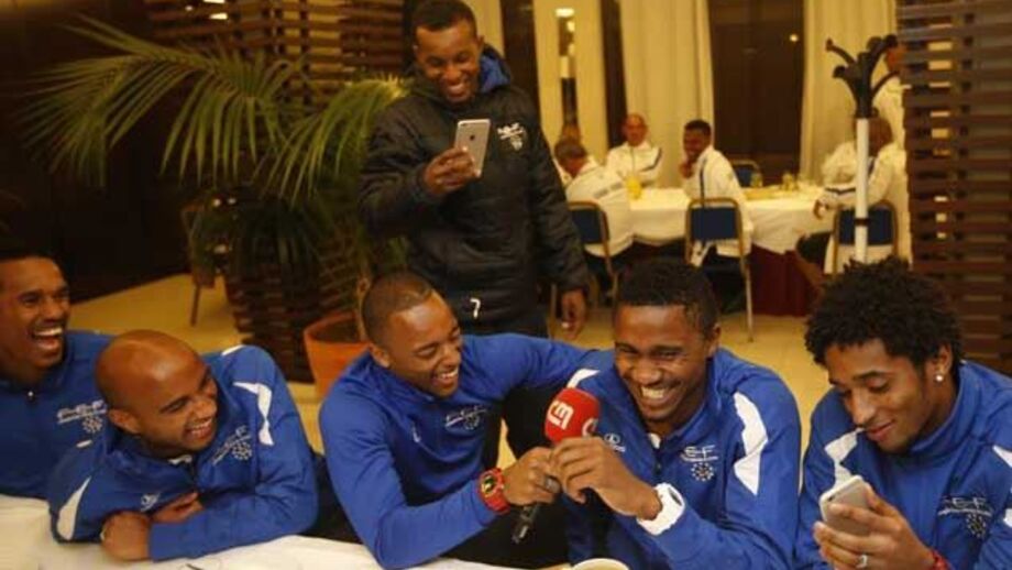 Ao ritmo dos tubarões