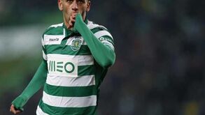 Mariano Barreto: «Slimani vai dar preocupações acrescidas a Jesus»