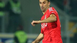 Mercado reaberto até 6.ª feira