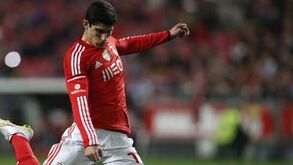 Gonçalo Guedes nas opções do dérbi após ano em cheio