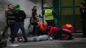 Leões destacam boa aposta nas redes de proteção do fosso