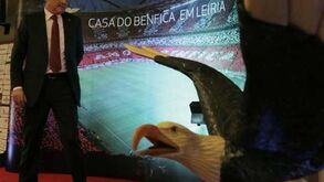 Vieira: «Um grupo de arruaceiros incendiou-nos o estádio e não cortámos relações com ninguém»