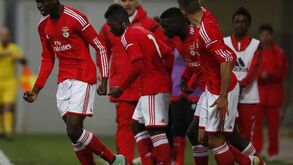 Benfica: Alfa com cabeça para altos voos