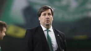 Bruno de Carvalho castigado por ofensas a funcionário do Gil Vicente