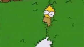 Homer Simpson dá 