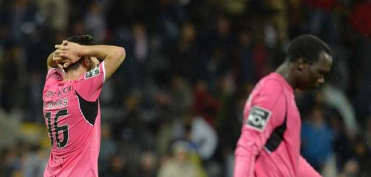 Bicho mordeu outra vez