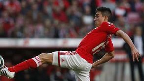 Águias resguardam Gaitán