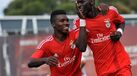 Benfica goleia V. Guimarães com póquer de Flávio Silva