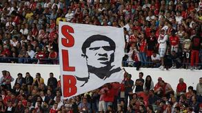 Direção aconselha adeptos do Benfica a não ficarem na bancada poente