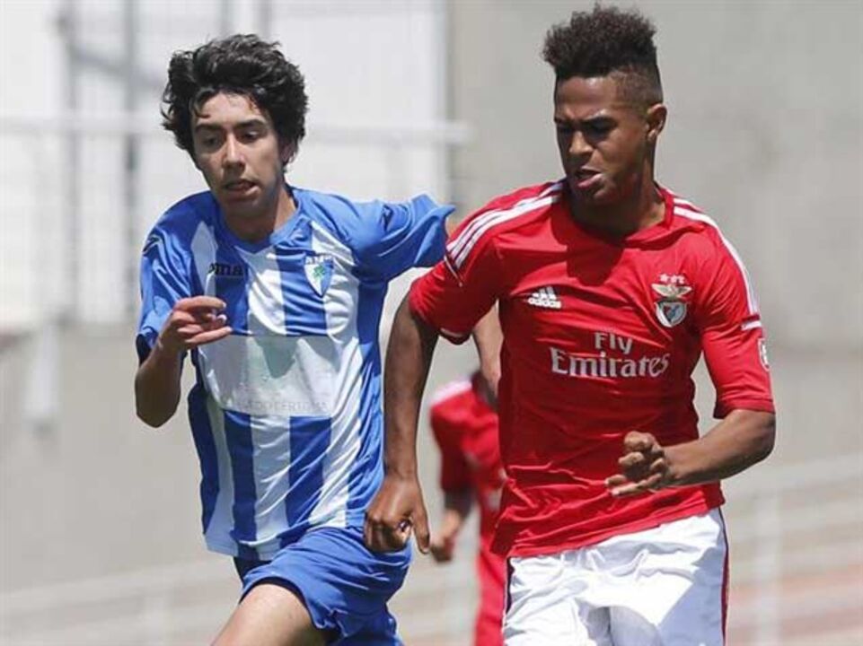 Benfica procura o bicampeonato