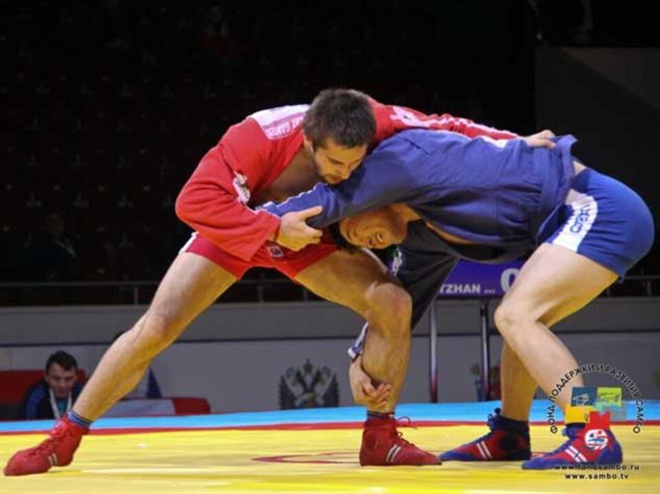 Mas afinal o que é o sambo?