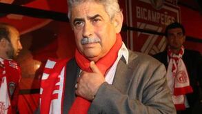 Luís Filipe Vieira: «Não se convençam de que o ciclo mudou»