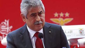 Luís Filipe Vieira: «Quero um treinador sem medo de apostar nos miúdos»