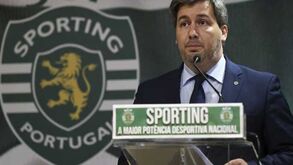 Leão quer apenas dois ou três reforços para 2015/16