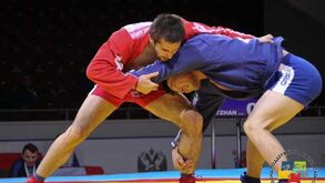 Mas afinal o que é o sambo?