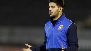 Mitrovic está mais longe da Luz