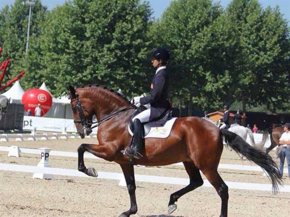 Hipismo: Gonçalo Carvalho foi terceiro em Hartbury