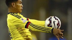 Leão no meio de uma 