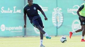 William Carvalho tem fratura na tíbia e leões acusam Federação