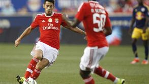Pizzi: «As vitórias não vão demorar a aparecer»