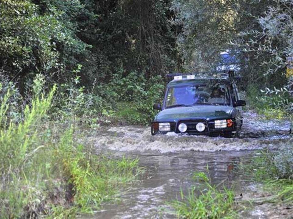 À descoberta da charneca ribatejana