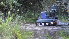 À descoberta da charneca ribatejana