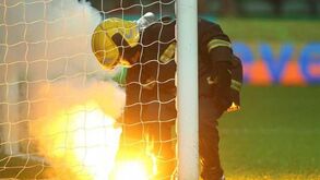 Mika alvo da ira leonina