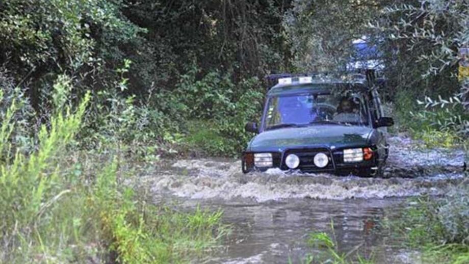 À descoberta da charneca ribatejana